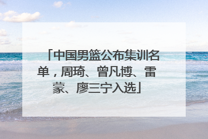 中国男篮公布集训名单，周琦、曾凡博、雷蒙、廖三宁入选