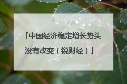 中国经济稳定增长势头没有改变（锐财经）