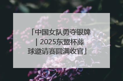 中国女队勇夺银牌｜2025东盟杯藤球邀请赛圆满收官