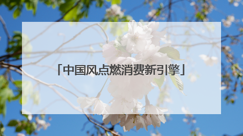 中国风点燃消费新引擎