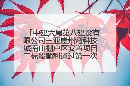 中建六局第八建设有限公司三亚崖州湾科技城南山棚户区安置项目二标段顺利通过第一次主体结构验收