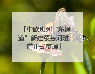 中欧班列“东通道”新建绥芬河隧道正式贯通