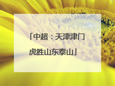 中超：天津津门虎胜山东泰山