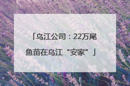乌江公司：22万尾鱼苗在乌江“安家”