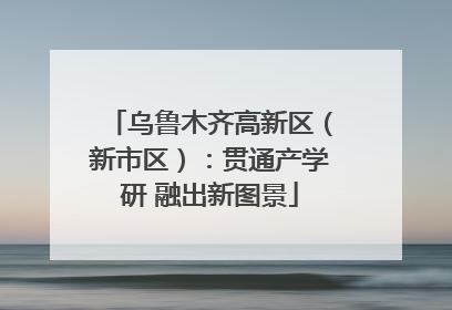 乌鲁木齐高新区（新市区）：贯通产学研 融出新图景