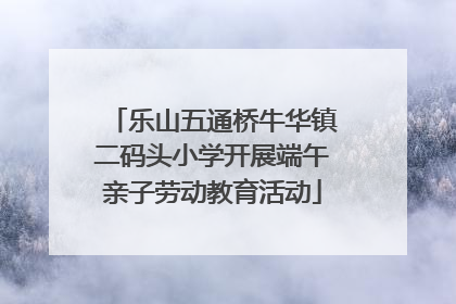 乐山五通桥牛华镇二码头小学开展端午亲子劳动教育活动