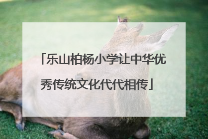 乐山柏杨小学让中华优秀传统文化代代相传
