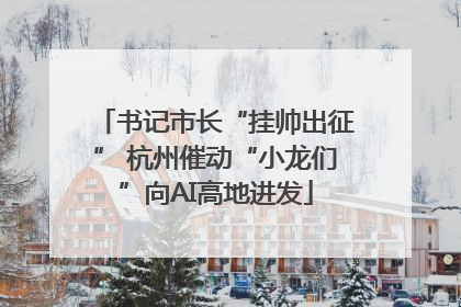 书记市长“挂帅出征” 杭州催动“小龙们”向AI高地进发