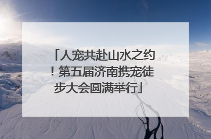 人宠共赴山水之约！第五届济南携宠徒步大会圆满举行