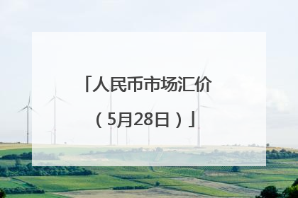 人民币市场汇价（5月28日）