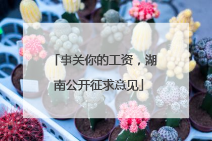 事关你的工资，湖南公开征求意见