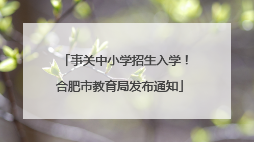事关中小学招生入学！合肥市教育局发布通知