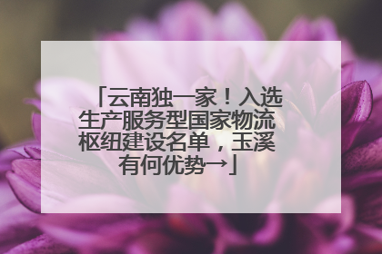 云南独一家！入选生产服务型国家物流枢纽建设名单，玉溪有何优势→