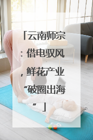 云南师宗：借电驭风，鲜花产业“破圈出海”