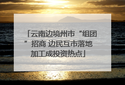 云南边境州市“组团”招商 边民互市落地加工成投资热点
