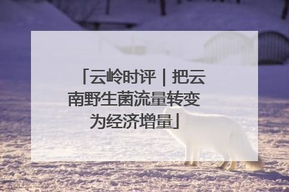云岭时评｜把云南野生菌流量转变为经济增量