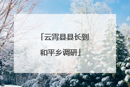 云霄县县长到和平乡调研