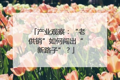 产业观察：“老供销”如何闯出“新路子”？