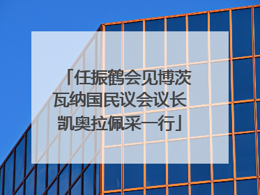 任振鹤会见博茨瓦纳国民议会议长凯奥拉佩采一行