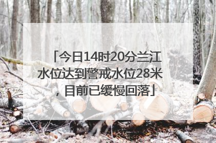 今日14时20分兰江水位达到警戒水位28米，目前已缓慢回落