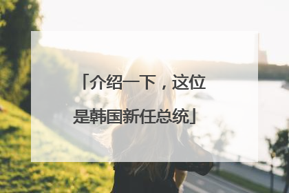 介绍一下，这位是韩国新任总统