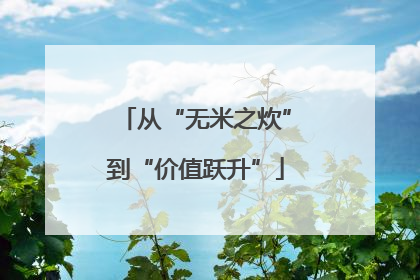 从“无米之炊”到“价值跃升”