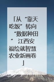 从“靠天吃饭”转向“数据种田” 江西安福绘就智慧农业新画卷