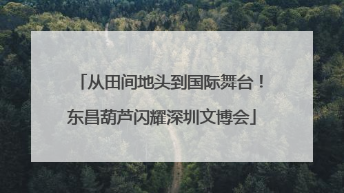 从田间地头到国际舞台！东昌葫芦闪耀深圳文博会
