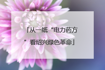 从一纸“电力药方”看绍兴绿色革命