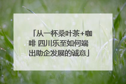 从一杯桑叶茶+咖啡 四川乐至如何端出助企发展的诚意