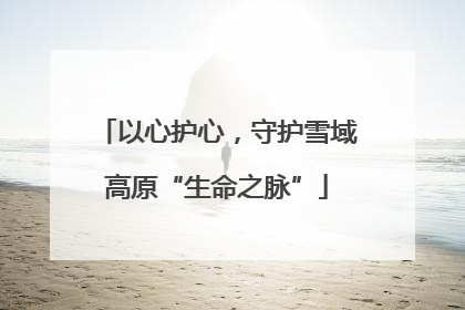 以心护心，守护雪域高原“生命之脉”