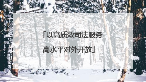 以高质效司法服务高水平对外开放