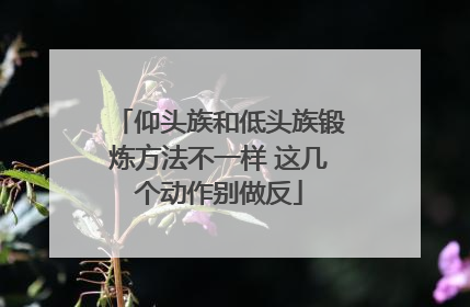 仰头族和低头族锻炼方法不一样 这几个动作别做反