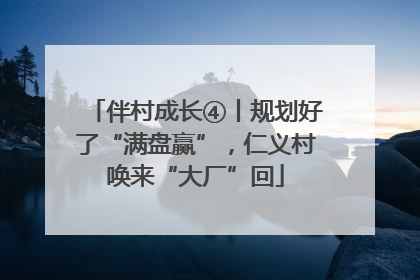 伴村成长④丨规划好了“满盘赢”，仁义村唤来“大厂”回