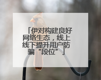 伊对构建良好网络生态，线上线下提升用户防骗“段位”
