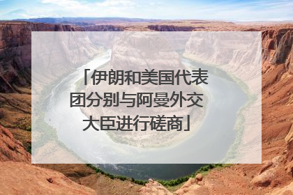 伊朗和美国代表团分别与阿曼外交大臣进行磋商