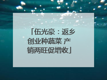 伍光豪：返乡创业种蔬菜 产销两旺促增收