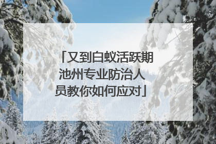 又到白蚁活跃期 池州专业防治人员教你如何应对
