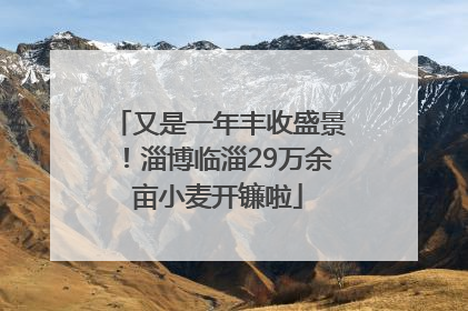 又是一年丰收盛景！淄博临淄29万余亩小麦开镰啦