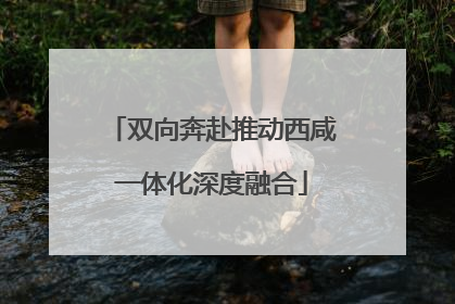 双向奔赴推动西咸一体化深度融合