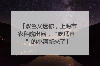 双色又迷你，上海市农科院出品，“吃瓜界”的小清新来了