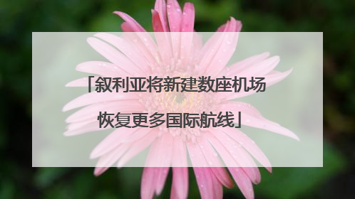 叙利亚将新建数座机场 恢复更多国际航线