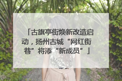 古旗亭街焕新改造启动，扬州古城“网红街巷”将添“新成员”