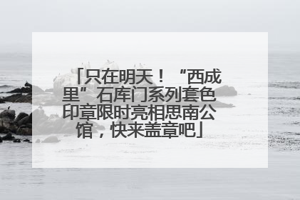 只在明天！“西成里”石库门系列套色印章限时亮相思南公馆，快来盖章吧