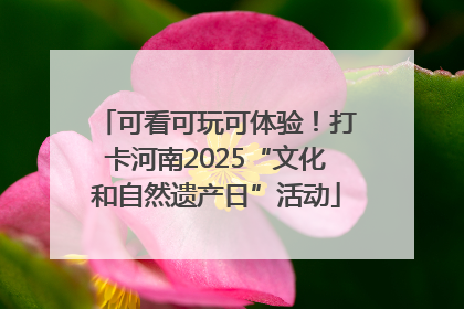 可看可玩可体验！打卡河南2025“文化和自然遗产日”活动