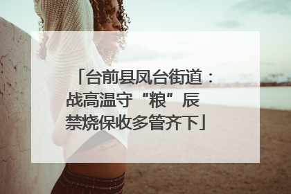 台前县凤台街道：战高温守“粮”辰 禁烧保收多管齐下