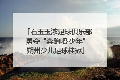 右玉玉浓足球俱乐部勇夺“奔跑吧·少年”朔州少儿足球桂冠