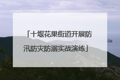 十堰花果街道开展防汛防灾防溺实战演练