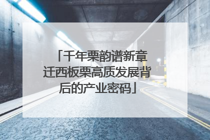 千年栗韵谱新章 迁西板栗高质发展背后的产业密码