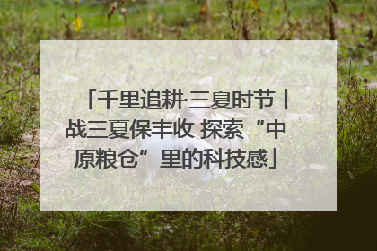 千里追耕·三夏时节丨战三夏保丰收 探索“中原粮仓”里的科技感